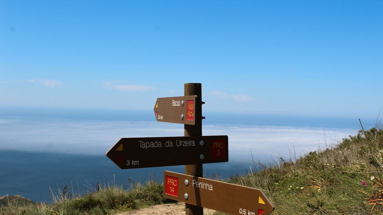 Wooden signpost with several direction arrows on a coastal hill path