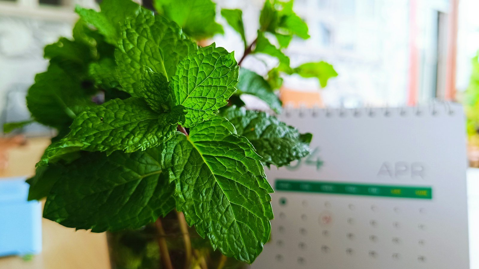 Fresh mint leaves in a glass beside a desk calendar