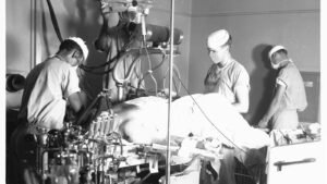 The engineer’s lens in a clinical organisation