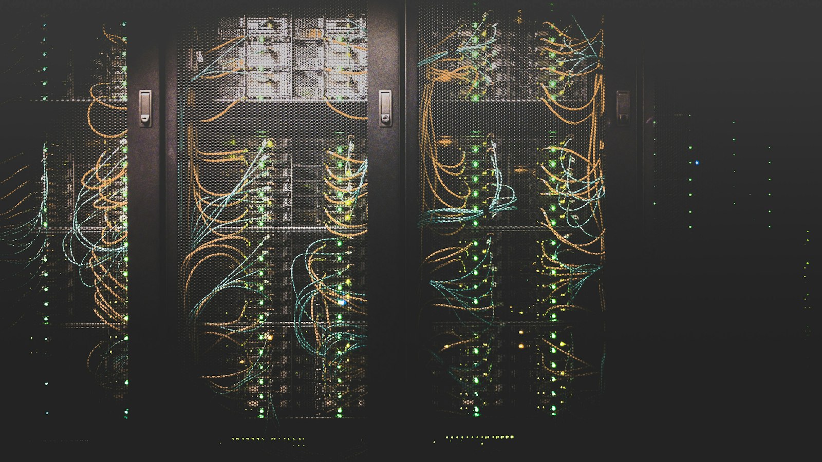 Network cables plugged into a server switch